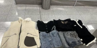 Таможня Домодедово изъяла брендовые вещи на 9,3 млн у пассажирки из ОАЭ - РТВ-Подмосковье