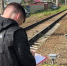 Поезд насмерть сбил женщину в Нижнем Новгороде - Комсомольская Правда