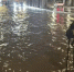 Фото: «Водоканал» Петербурга - Мой район