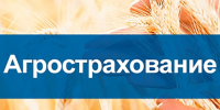 Приглашаем на онлайн‑конференцию. - Город Ровеньки