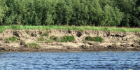 Водолазы Службы спасения Якутии обследовали 7 тысяч квадратов реки - Комсомольская Правда