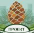 КедрыРоссии - Светловский городской округ
