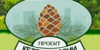 КедрыРоссии - Светловский городской округ