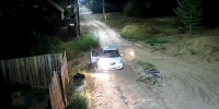 В Бурятии мужчина привез пса в чужой микрорайон, немного с ним погулял и бросил - ВостокТелеИнформ