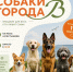 Фестиваль собак (1).jpeg - Администрация г. Владивостока