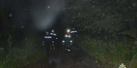 В Нурлатском районе РТ женщина заблудилась, пойдя за грибами в лес - ИА Татар-информ