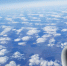 article23335.jpg - 59i.Ru
