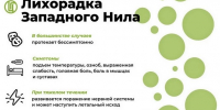 Девять случаев заражения лихорадкой Западного Нила зарегистрировали в Волгоградской области - Volganet.Net