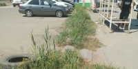 Активисты ЛДПР зафиксировали жалобы астраханцев на состояние городских пространств - ЛДПР