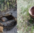 Новосибирский геолог нашел захоронения старообрядцев на месте «Сибирской Атлантиды» - Комсомольская правда