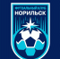 Полярная звезда и северное сияние: у футзального клуба «Норильск» новый фирменный знак - Северный город