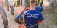 На Фиоленте девушка упала с 20-метровой высоты на диком спуске: спасатели вытащили её со скал></div>
	<div class= - Вести.Севастополь