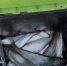 image - GazetaRB.Ru
