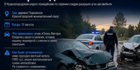 Изображение: УМВД России по Псковской области - InformPskov.Ru