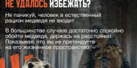 Если встречи с медведем не удалось избежать.. - Красногорский район
