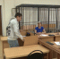 Апелляция отклонена. Пскович, ударивший ножом собаку, получил 4 года колонии - ГТРК Псков