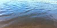 водоем - Петрозаводск говорит