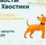 «Хвосты и хвостики»- 29 августа — праздник для животных и их хозяев - Городской округ Ступино