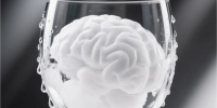 Бокал спиртного «для снятия стресса» vs молодость мозга - ГКБ №15