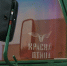 В Татарстане планируют запустить туристический ретропоезд «Красная птица» - ИА Татар-информ