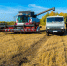 Уборка урожая на Южном Урале набирает обороты - Полит74