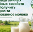 Объявление о проведении отбора получателей субсидии гражданам, ведущим личное подсобное хозяйство, на возмещение части затрат за реализованное товарное молоко - Министерство сельского хозяйства