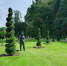 WSciIdZDBawdvZCKfJNAWXDUJYfh_c8maKoXABRX7y7pU3-6sm14lbgIW-D8n6XbczpKos95pShn24em8LYxcwsk.jpg - Культура Петербурга