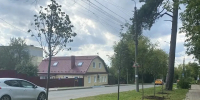 В Калуге продолжаются работы по озеленению - Калужская неделя