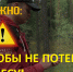 На прошедшей неделе в лесу заблудилось три жителя нашего города. - Город Буй