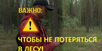 На прошедшей неделе в лесу заблудилось три жителя нашего города. - Город Буй