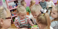 «С кузовком и лукошком по лесным тропинкам» (0+) - ЦБС г. Смоленска