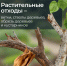 Веткам и ботве не место на контейнерных площадках - ИА Тульская пресса.Ru