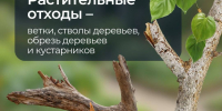 Веткам и ботве не место на контейнерных площадках - ИА Тульская пресса.Ru
