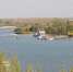 Весенний разлив напрямую влияет на нерест рыбы: если воды мало, рыбе сложнее отложить икру и вырастить потомство | Источник: Евгений Вдовин / 161.RU - 161.Ru