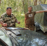 В Астраханской области продолжаются рейды по охране лесов - Комсомольская Правда