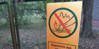 Природные пожары. Саратовцам запретили заходить в леса - ИА Взгляд-инфо