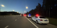 На дорогах Калужской области за шесть дней отловили 15 пьяных водителей - Калужская неделя