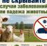 Информируем о недопустимости сокрытия случаев заболевания и/или падежа животных,а также захоронения биологических отходов в несанкционированных местах. - Бабынинский район
