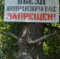 Жителям Саратовской области запретили ходить в леса: подписан документ - ИА Версия-Саратов