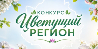 В Кичменгско – Городецком муниципальном округе стартует конкурс «Цветущий регион». - Кичменгско-Городецкий муниципальный округ