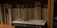 Наш тест покажет, что книги хороши не только на полке | Источник: Иван Митюшёв / 29.RU - 29.Ru