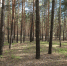 Прочее - Riac34.Ru