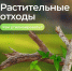 Веткам и ботве не место на контейнерных площадках - ИА Тульские новости