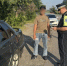В Белгородской области провели оперативно-профилактические мероприятия по пресечению нарушений законодательства иностранными гражданами - Belnovosti.Ru