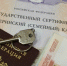В Прикамье 13 человек осудили за незаконное обналичивание маткапитала - Комсомольская Правда