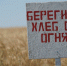 Берегите хлеб от огня - Шемышейский район
