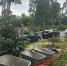 В Калуге продолжаются работы по озеленению - Городская управа