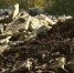resize_1280xauto - ТРК Щелково