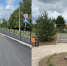 В Жукове появилась новая пешеходная зона - NgRegion.Ru