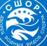 За каждым чемпионским касанием бортика скрываются сотни километров воды, железная воля пловца и годы, которые наставник вложил в его характер - Министерство физической культуры и спорта